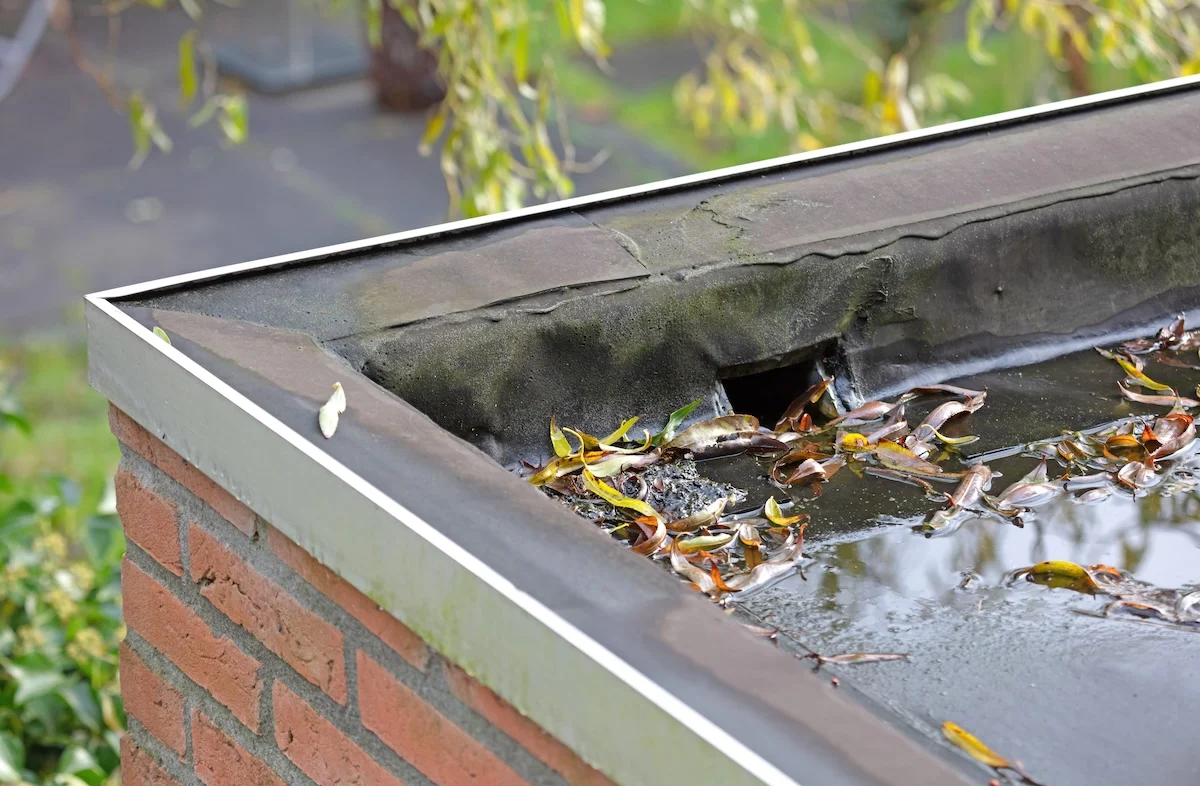 Drainage Layout Review